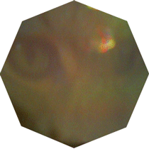 mrow-water-oct2-square